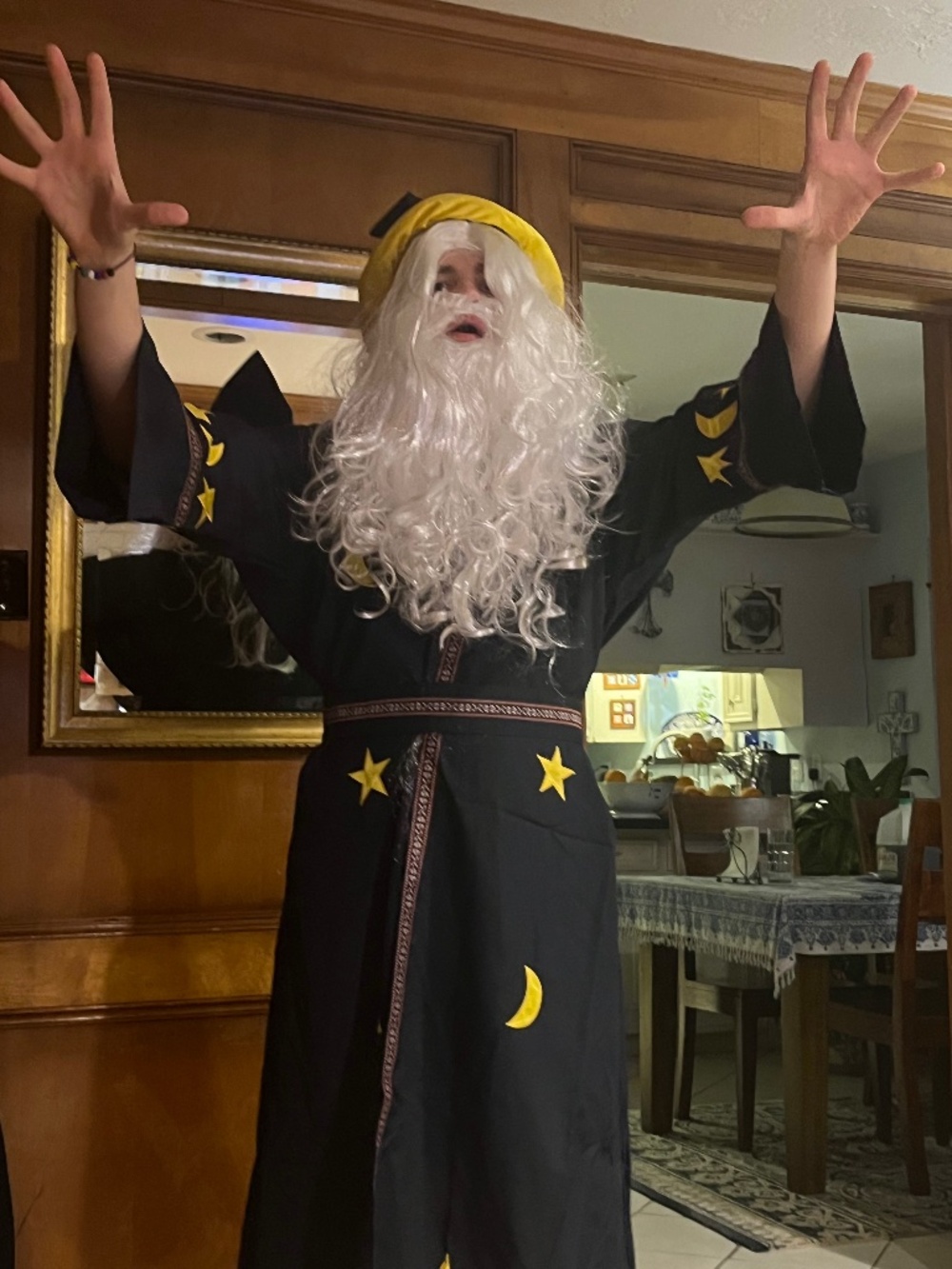 Adult Wizard Halloween Costume
